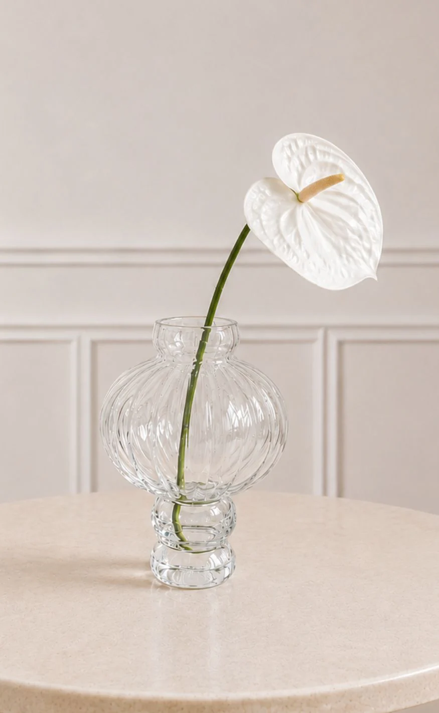 Sabloom Stilke - Anthurium - White